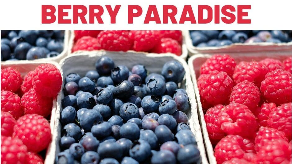 Berry meaning, Berry name origin, Berry Paradise as a brand name, Berry Paradise meaning, meaning of Berry Paradise, Paradise meaning, what does Berry Paradise mean