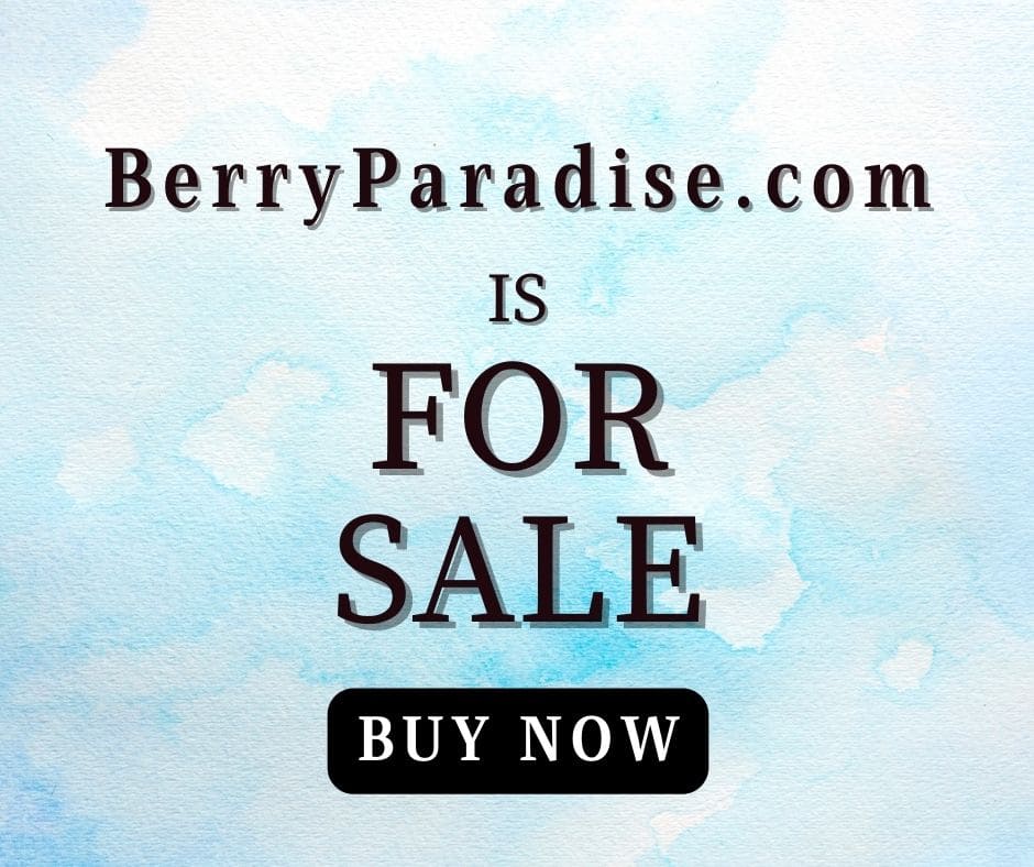 Berry meaning, Berry name origin, Berry Paradise as a brand name, Berry Paradise meaning, meaning of Berry Paradise, Paradise meaning, what does Berry Paradise mean