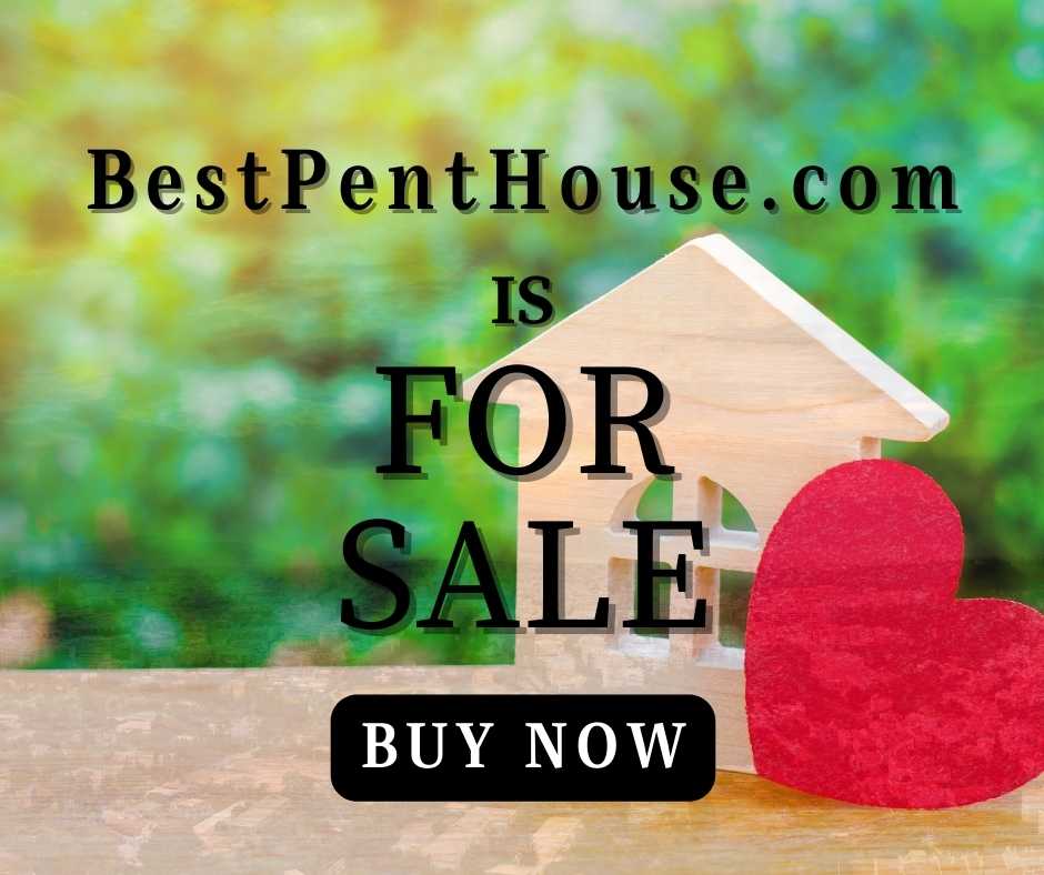 best pent house, Best Pent House details, meaning of Pent House, pent house, what does mean Pent House