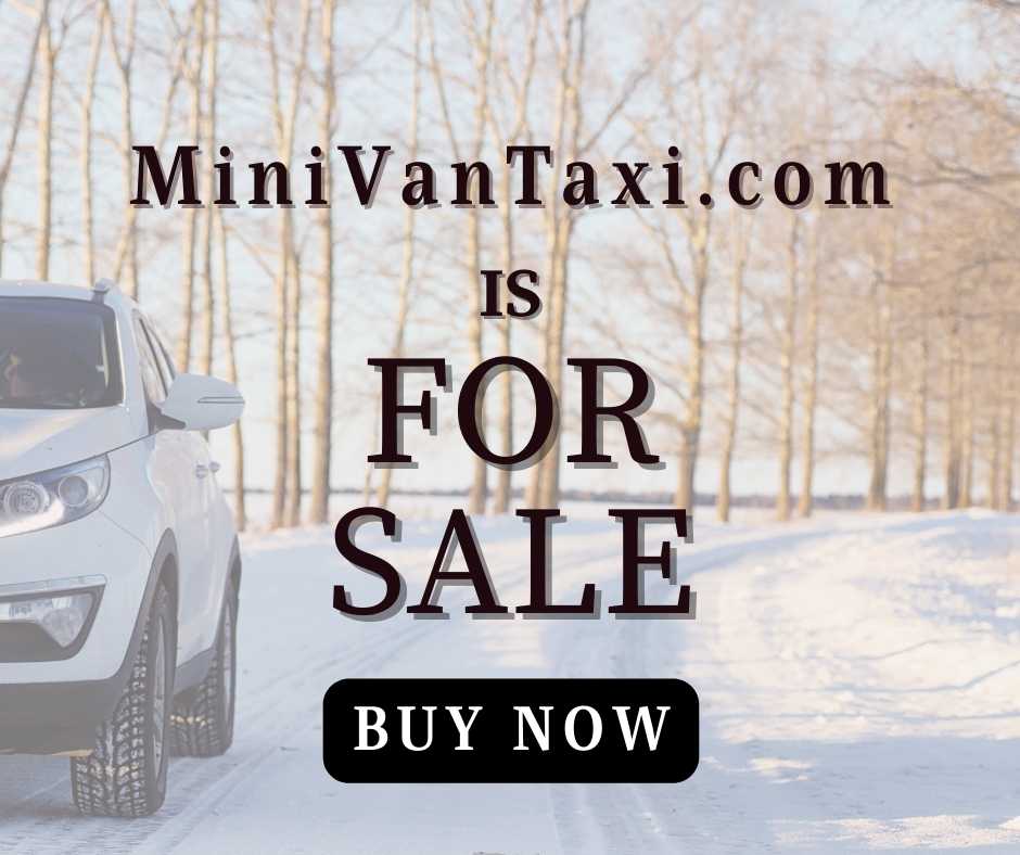 mini van taxi, mini van taxi as a business name, mini van taxi name breakdown, mini van taxi name details